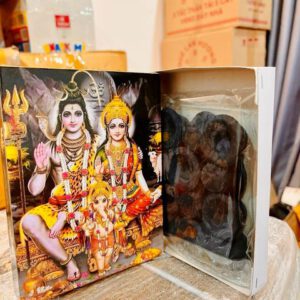 Thần ganesha tài lộc