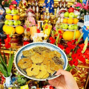 Hoa mai kim tiền vật phẩm hút tài lộc