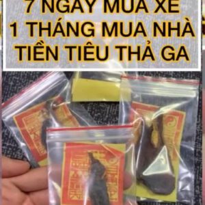 NHAO MÈO THÁI LAN