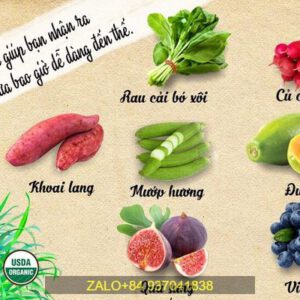 THỨC ĂN CHỮA BỆNH