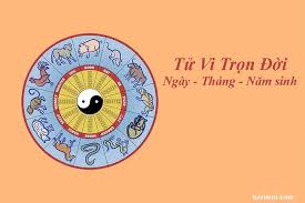 XEM BÓI THEO NGÀY THÁNG NĂM SINH XEM MỆNH TỬ VI TƯỚNG SỐ LÝ GIẢI